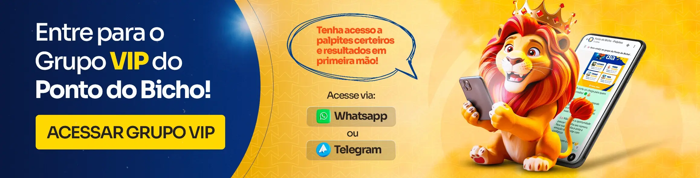 Banner Grupo VIP